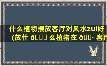 什么植物摆放客厅对风水zui
好(放什 🐕 么植物在 🕷 客厅可以招财守财又香)